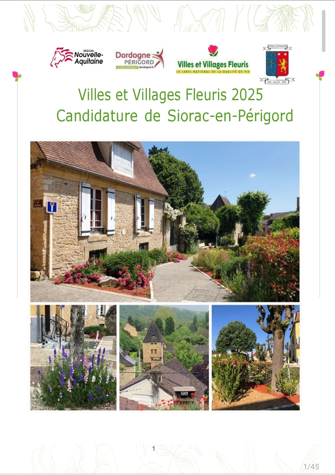 Dossier_de_candidature_VVF_2025